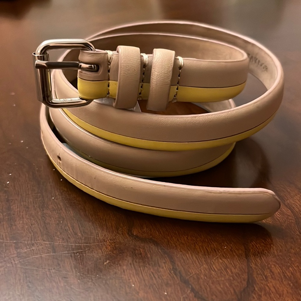 🌺Final Price🌺Ann Taylor Genuine Leather Skinny Belt